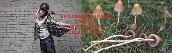 герыч Надым