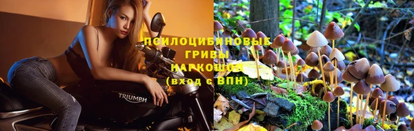 дурь Наволоки