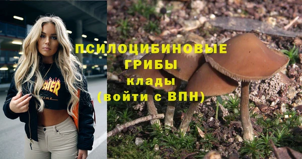 дурь Наволоки