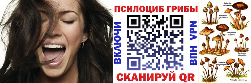 hydra вход  Севск  Псилоцибиновые грибы мицелий 
